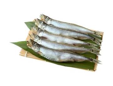 盛皿：幅約18ｃｍ