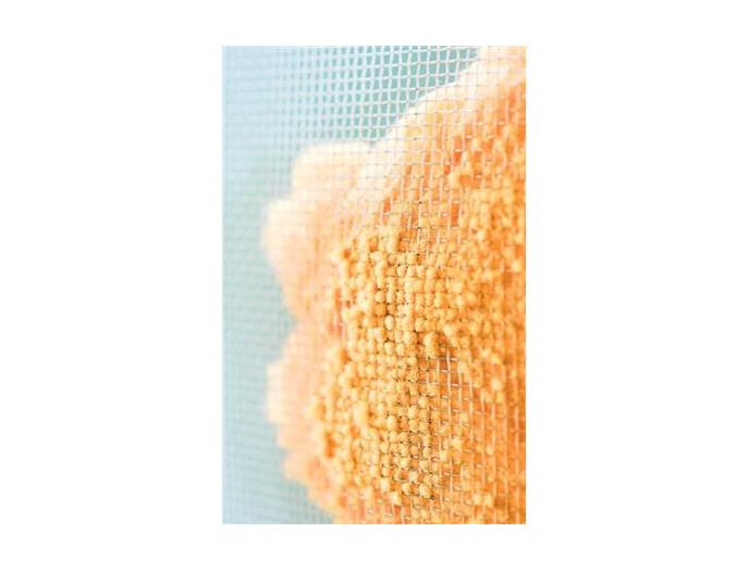 あみ戸スカット