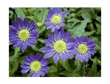 ※画像はイメージです。