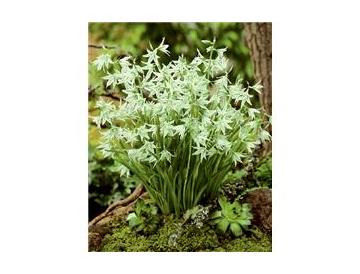 ※画像はイメージです。