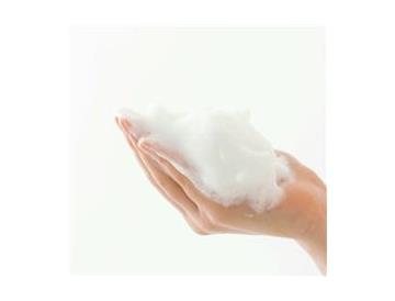 ｅハトムギ　泡洗顔　つめかえ用