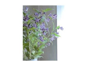 ※画像はイメージです。