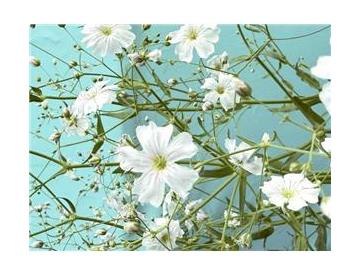 ※画像はイメージです。