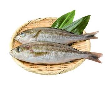 ざる：直径約２０ｃｍ