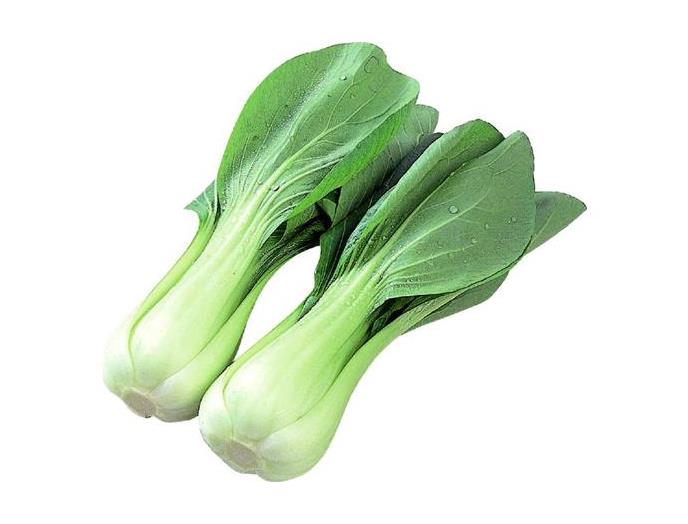 近江のチンゲン菜