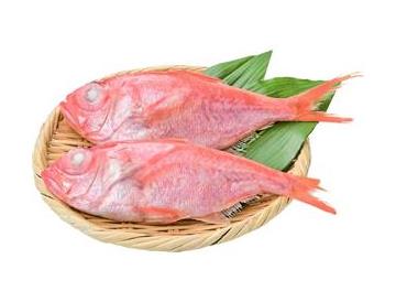 ざる：直径約19ｃｍ