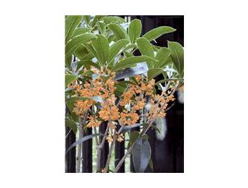 ※画像はイメージです。