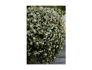 ※画像はイメージです。