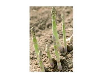 ※画像はイメージです。