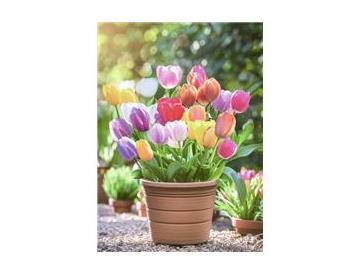 ※画像はイメージです。