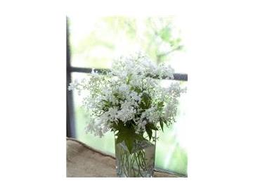 ※画像はイメージです。