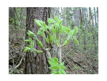 ※画像はイメージです。