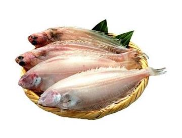 ざる：直径約18cm