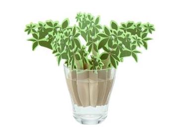 パキラ・※コップは付いていません。