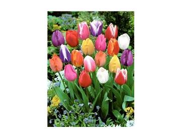 ※画像はイメージです。