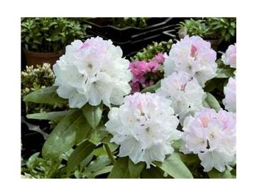 ※画像はイメージです。