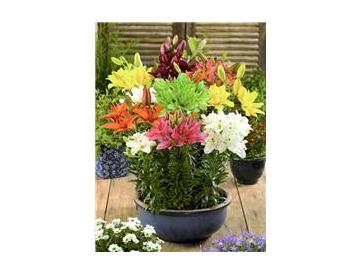 ※画像はイメージです。