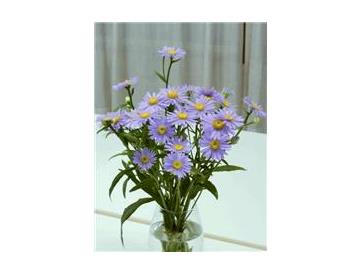 ※画像はイメージです。