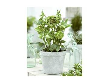 ※画像はイメージです。