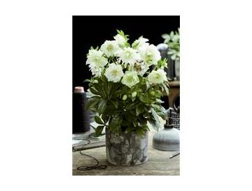 ※画像はイメージです。