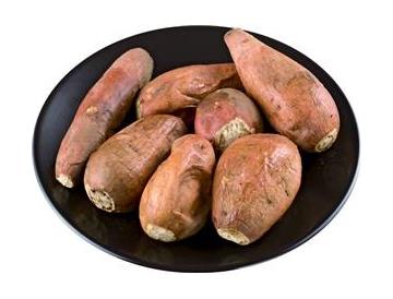 皿：直径約19ｃｍ