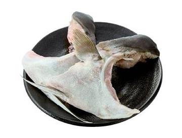 皿：直径約２１ｃｍ