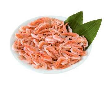 皿：直径約１３cm