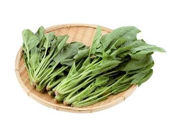 ざる：直径約３４ｃｍ