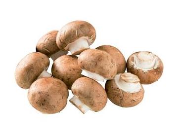 マッシュルームカレー