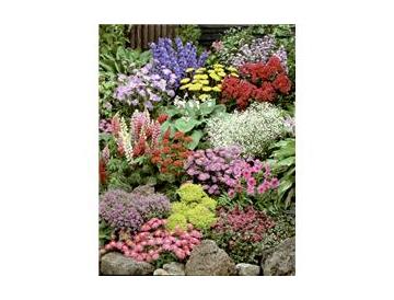 ※画像はイメージです。