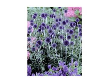 ※画像はイメージです。