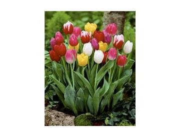 ※画像はイメージです。