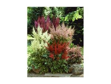 ※画像はイメージです。