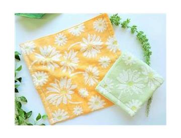 マーガレット（グリーン・オレンジ）