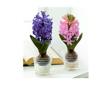 ※画像はイメージです。