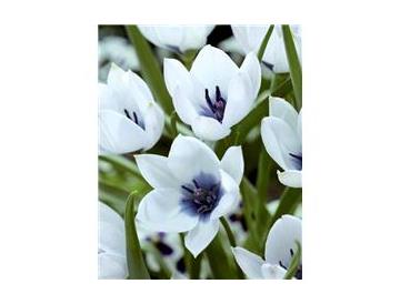 ※画像はイメージです。