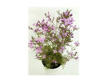 ※画像はイメージです。