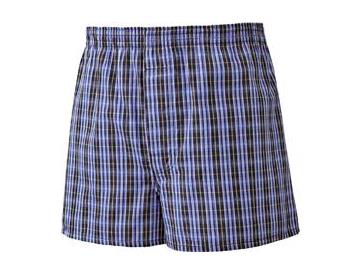 ブルーチェック