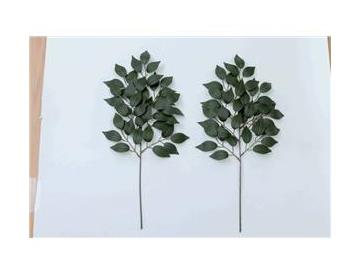 神棚用　榊　５０ｃｍ