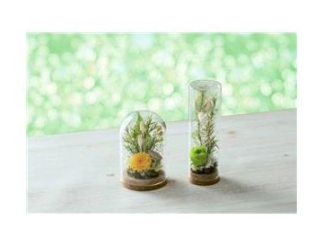 ドーム　ミドルタイプ・ロングドーム※画像はイメージです。