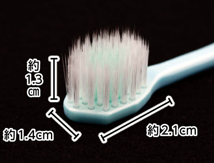 ｅ田辺一郎の「磨きやすい」歯ブラシワイドタイプ