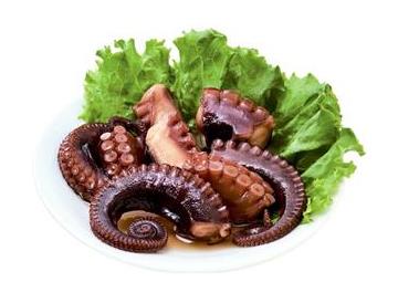 皿：直径約13ｃｍ