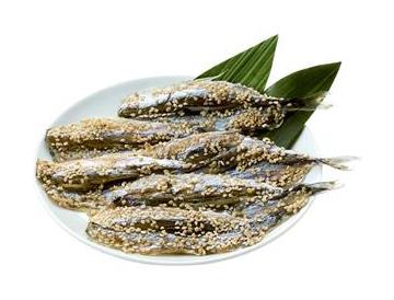 皿：直径約16ｃｍ