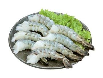 皿：直径約１８ｃｍ