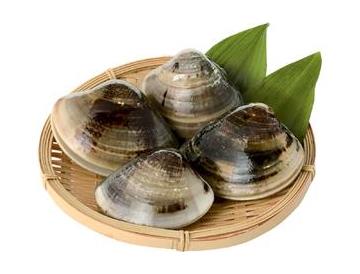 ざる：直径約１６cm