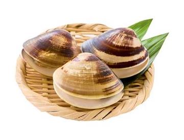 ざる：直径約１５ｃｍ