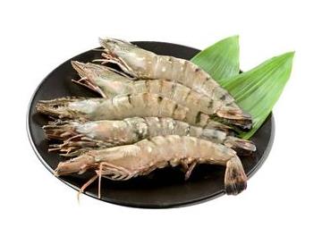 皿：直径約２３ｃｍ