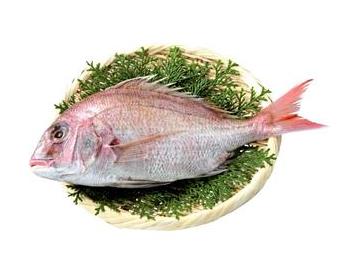 ざる：直径約21cm