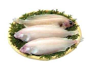 ざる：直径約21cm