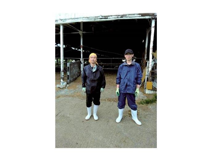 鳥取こめ育ち牛こまぎれ